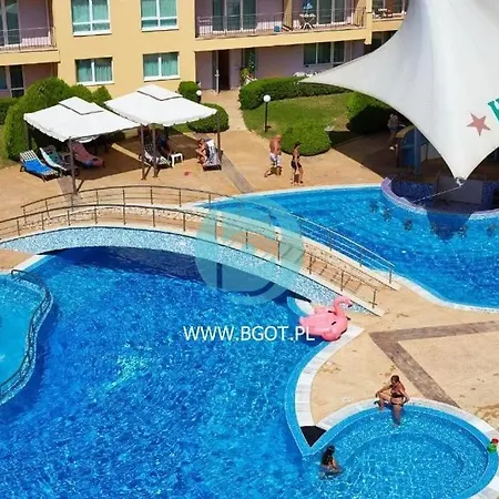 Polo - Cacao Sunny Beach